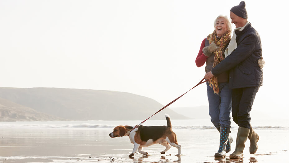 Couple walking beagle on the beach