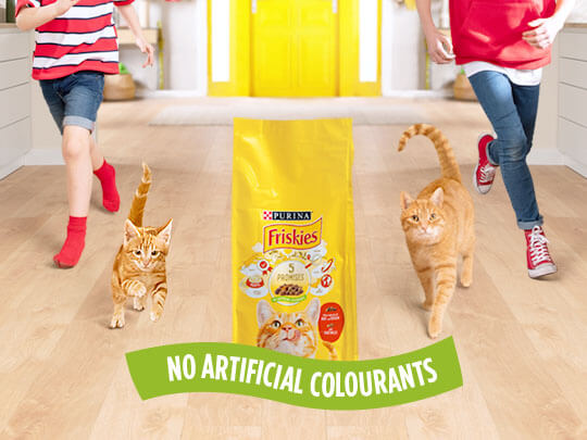 The Friskies 5 Promises Cat Purina