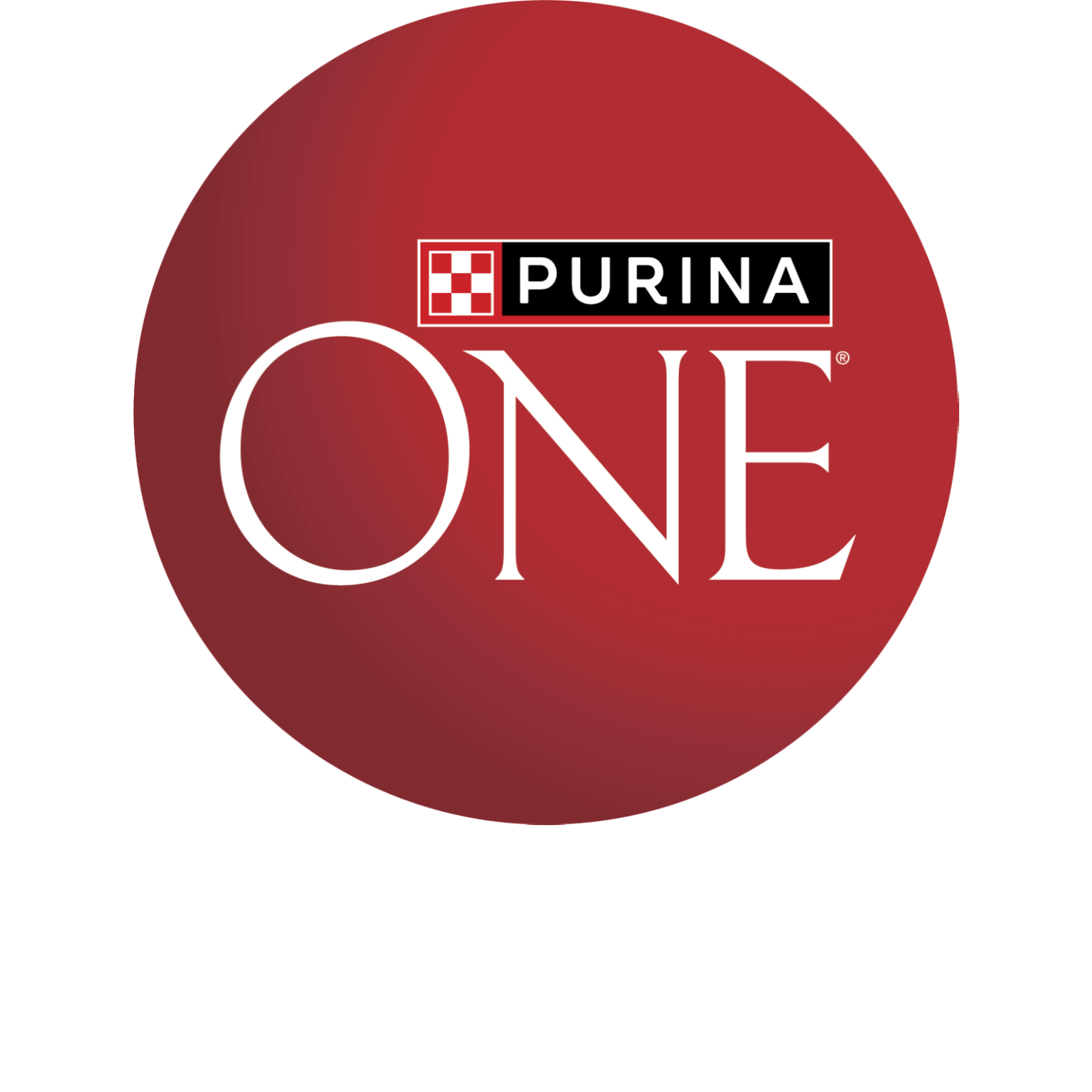 Discover Purina ONE Small Mini Dog Food Purina