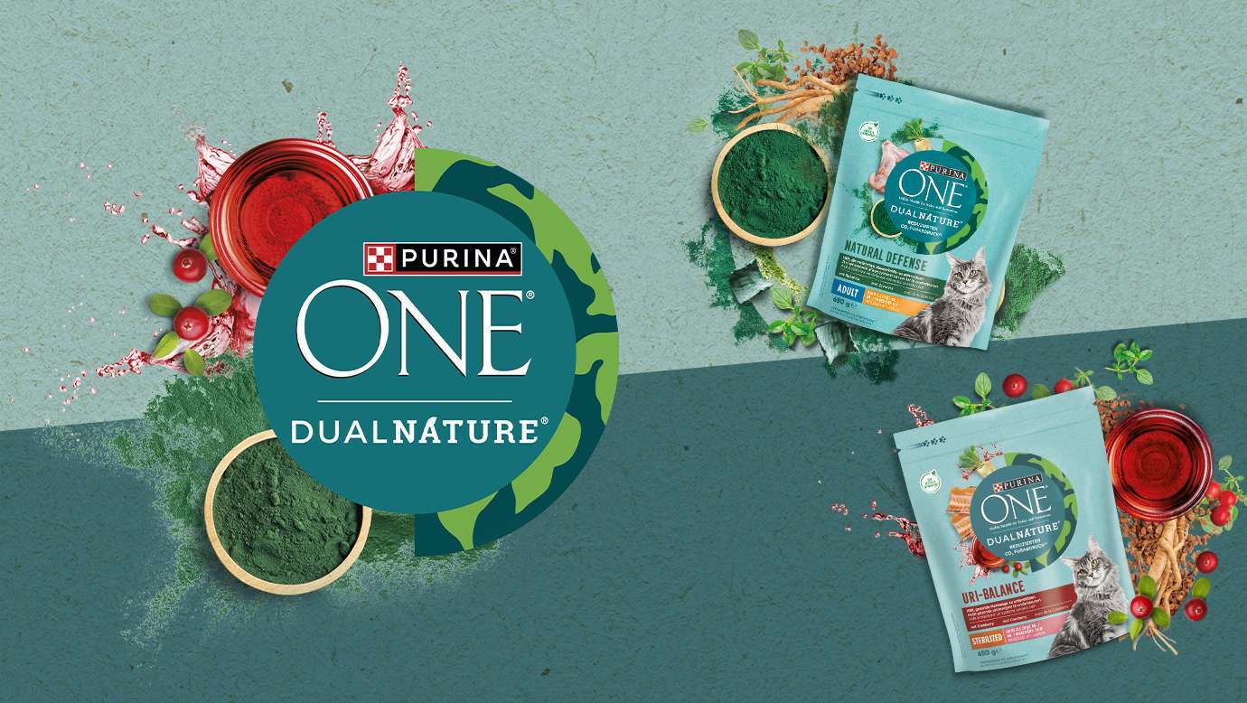 Purina One Dual Nature