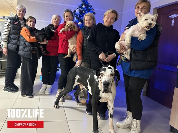 100 % Life Dniprov
