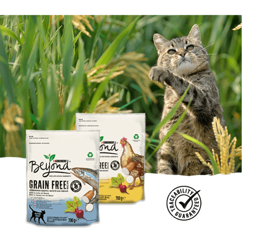 Cat Beyond Dry Grain Free Range