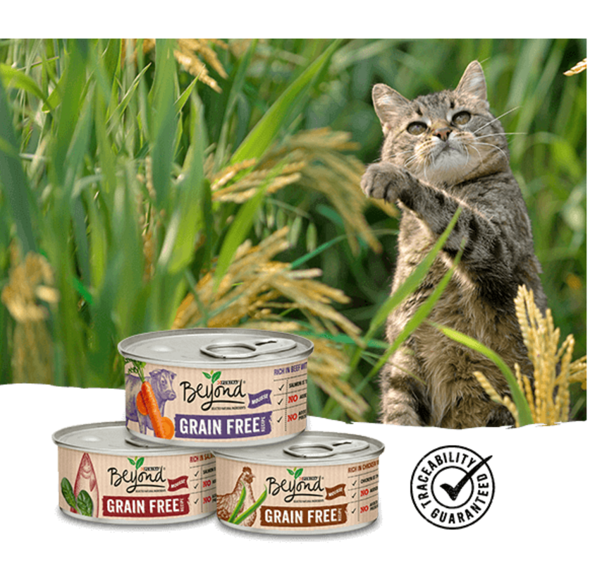 Cat Beyond Wet Grain Free Range