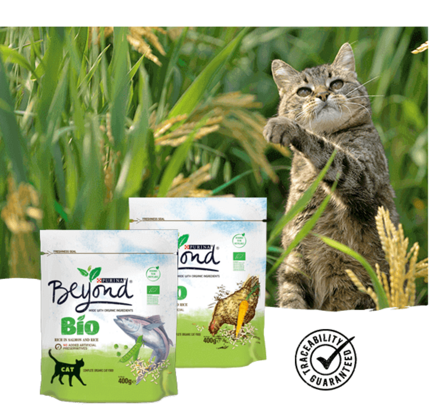 Cat Beyond® Dry BIO Range