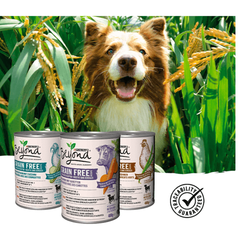 Dog Beyond Grain Free Wet range