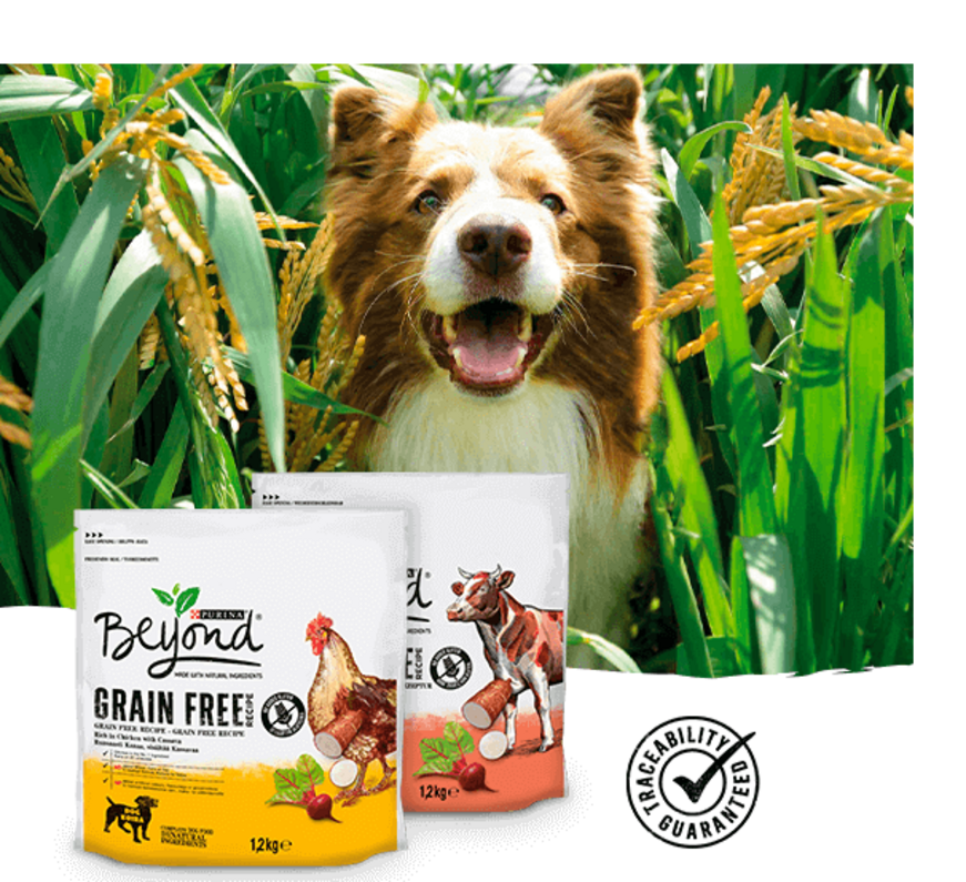 Dog Beyond Dry Grain Free Rang