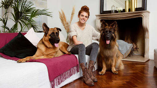 Woman sitting on a sofa between her two german shepherds.