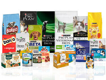 See All Our Cat Dog Food Brands Purina