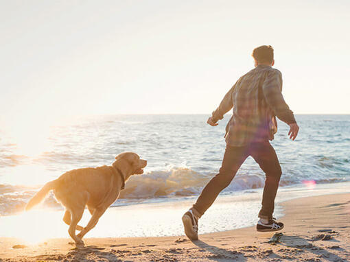 Dog and owner near the sea