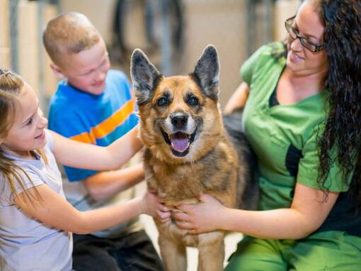 dog being hugged by the owner and her children