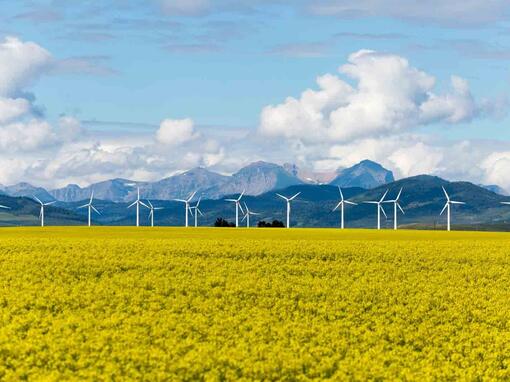 solar wind farm