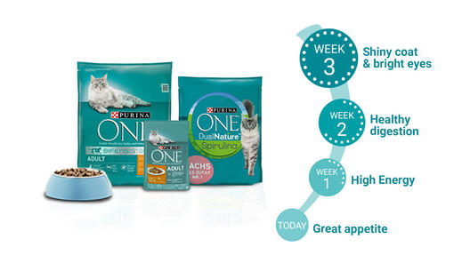 Take The Purina One 3 Week Challenge Purina