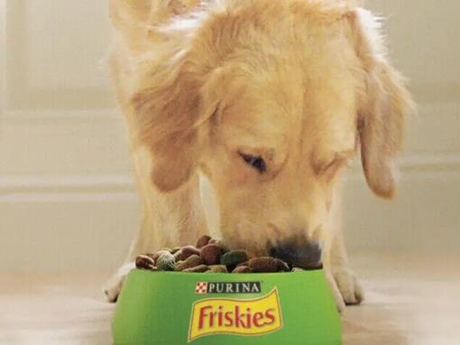 Purina friskies dog sales food