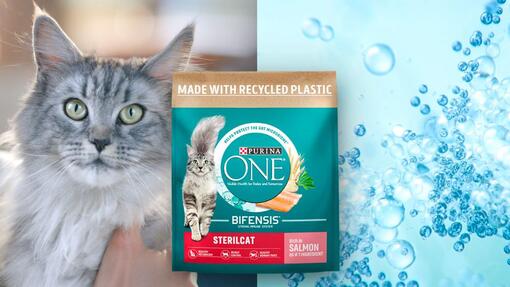 Purina one hot sale bifensis sterilcat