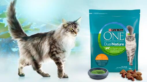 Purina ONE Nutritionally Balanced Cat Food Purina