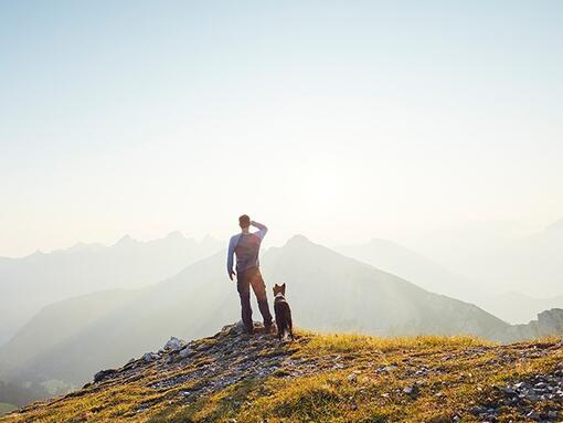 Unsere früheren Purina in Society-Verpflichtungen